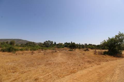Terreno Rústico com 21.560 m² em Quelfes, Olhão