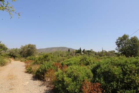 Terreno Rústico com 21.560 m² em Quelfes, Olhão