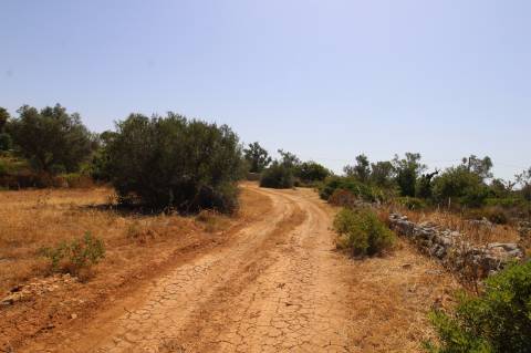 Terreno Rústico com 21.560 m² em Quelfes, Olhão