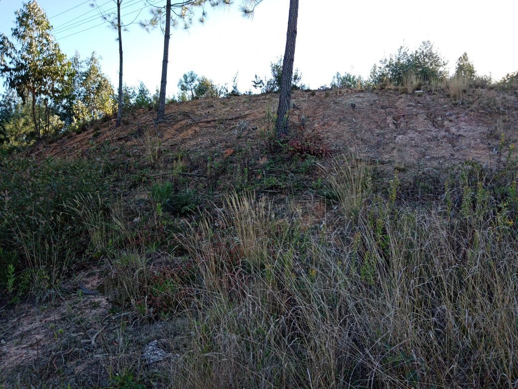 Terreno para Construção