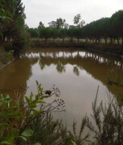 Terreno