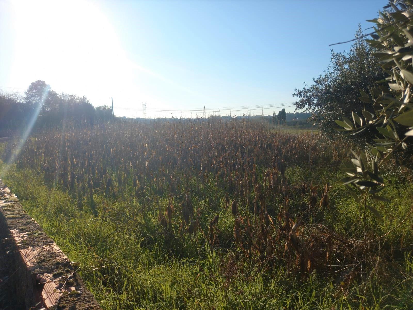 Terreno para Construção