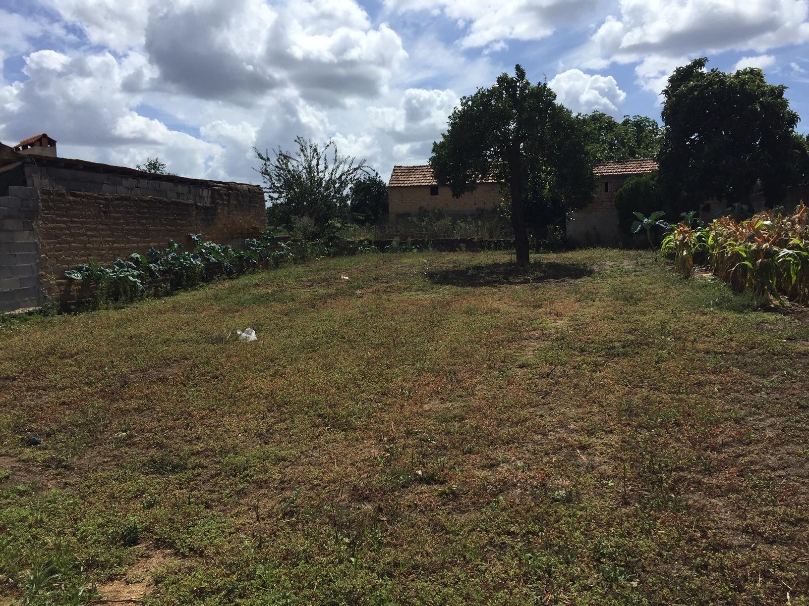 Terreno Urbano