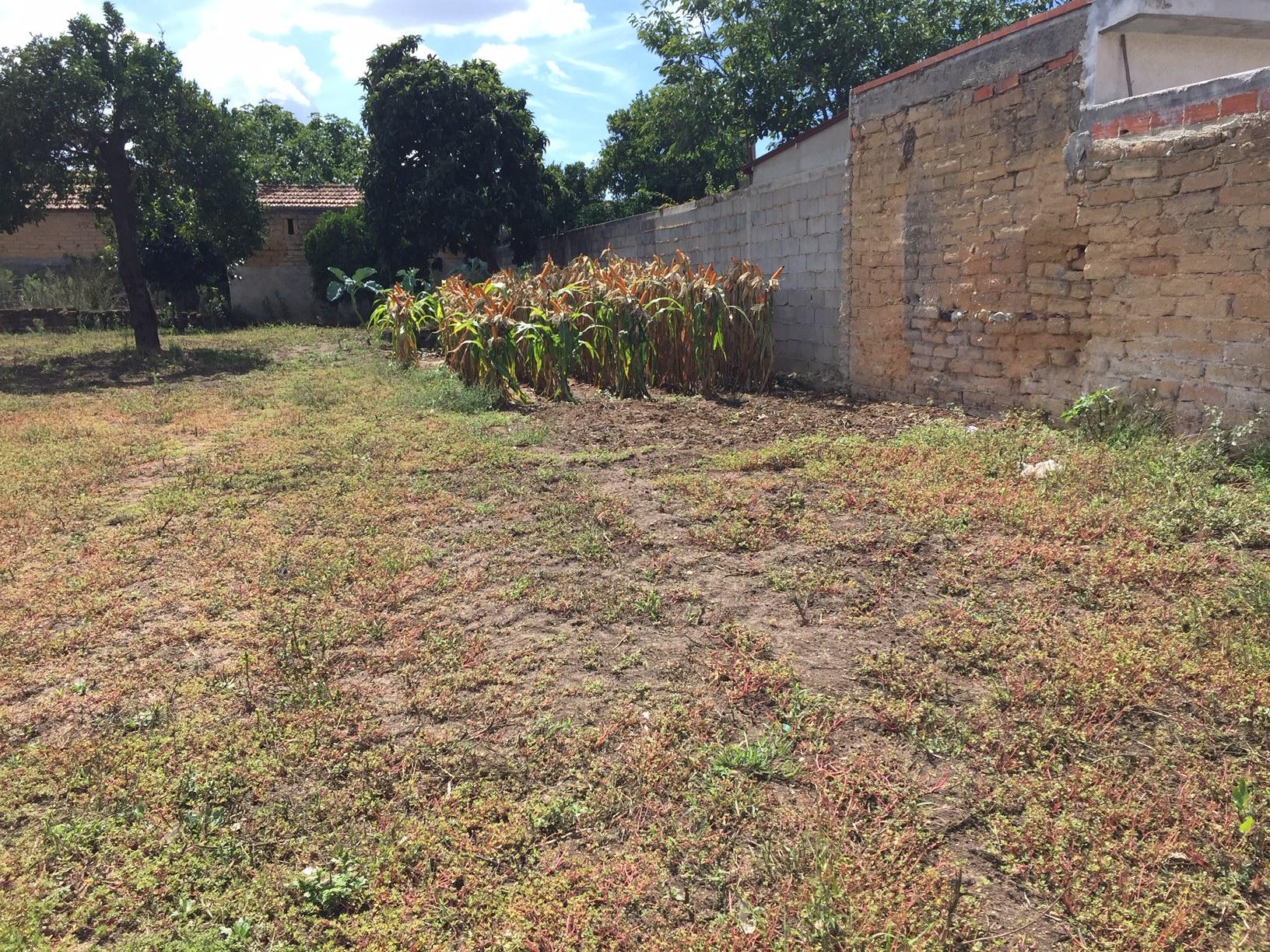 Terreno Urbano