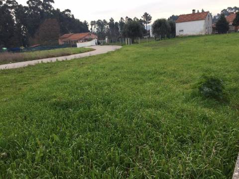 Terreno Urbano