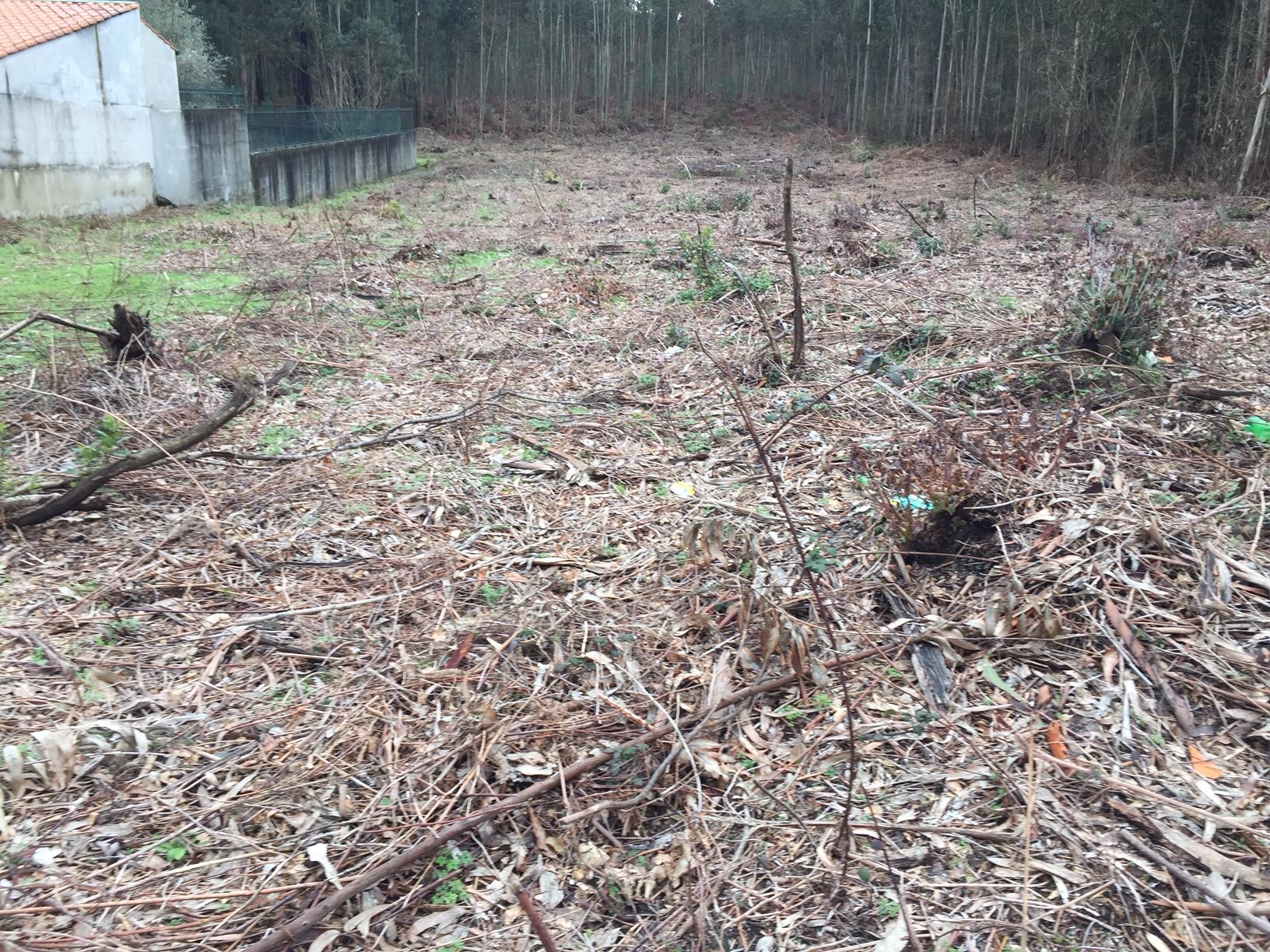 Terreno com possibilidade de construção
