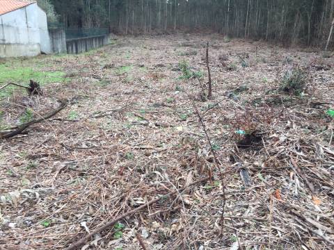 Terreno com possibilidade de construção