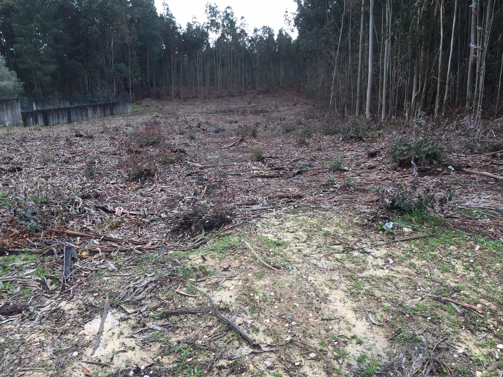 Terreno com possibilidade de construção