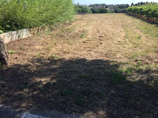 Terreno Misto