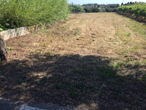 Terreno Misto