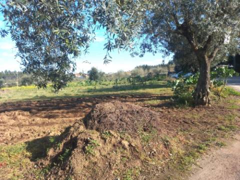 Terreno Misto