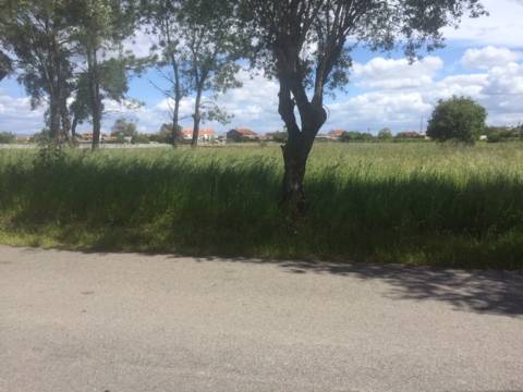 Terreno Misto