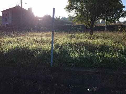 Terreno