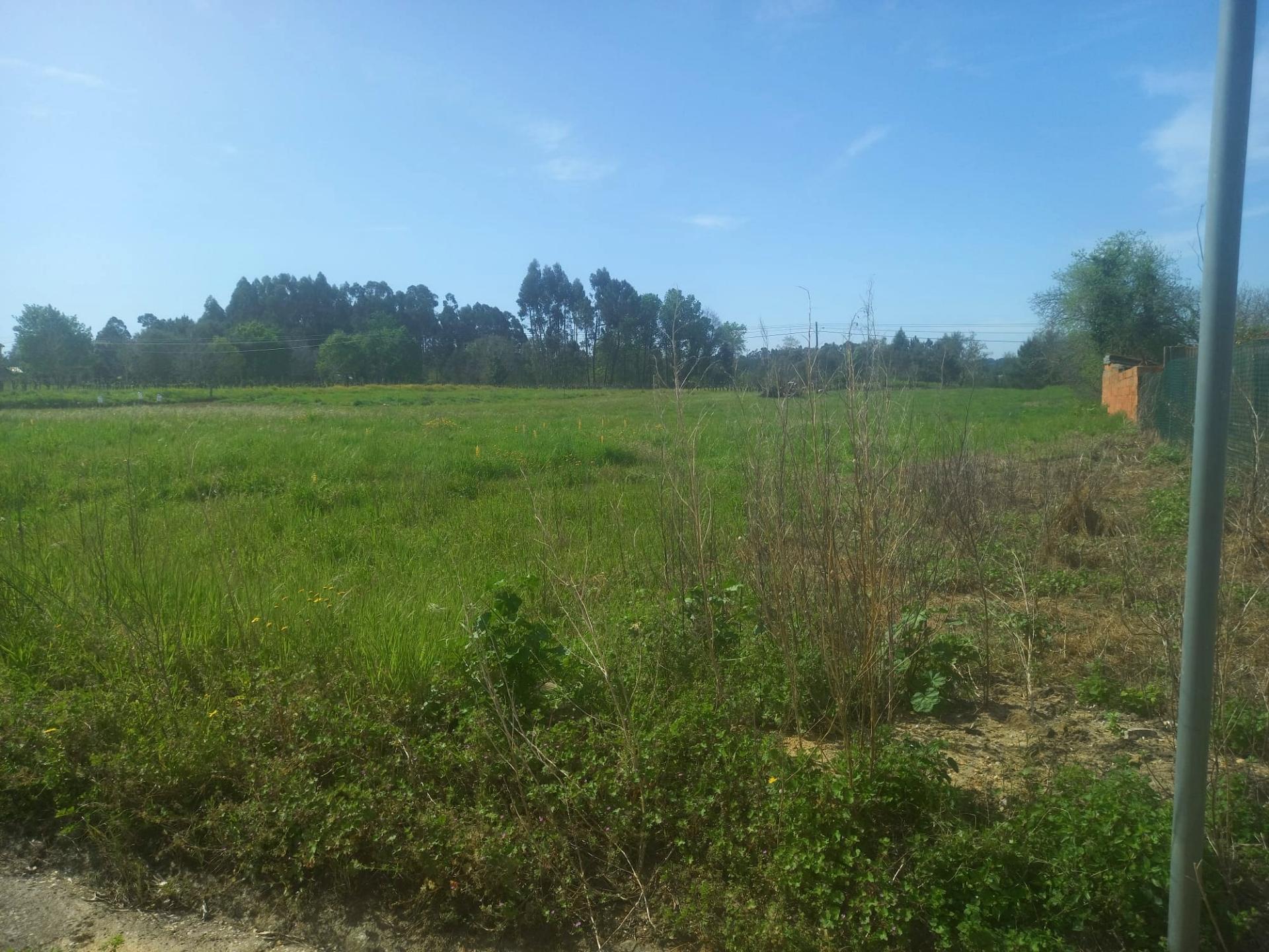 Terreno para Construção