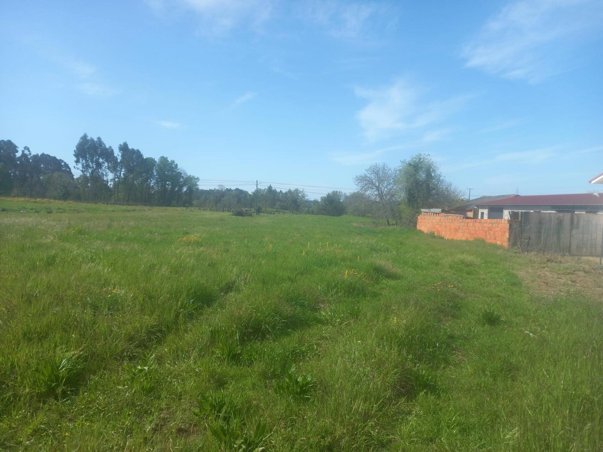 Terreno para Construção