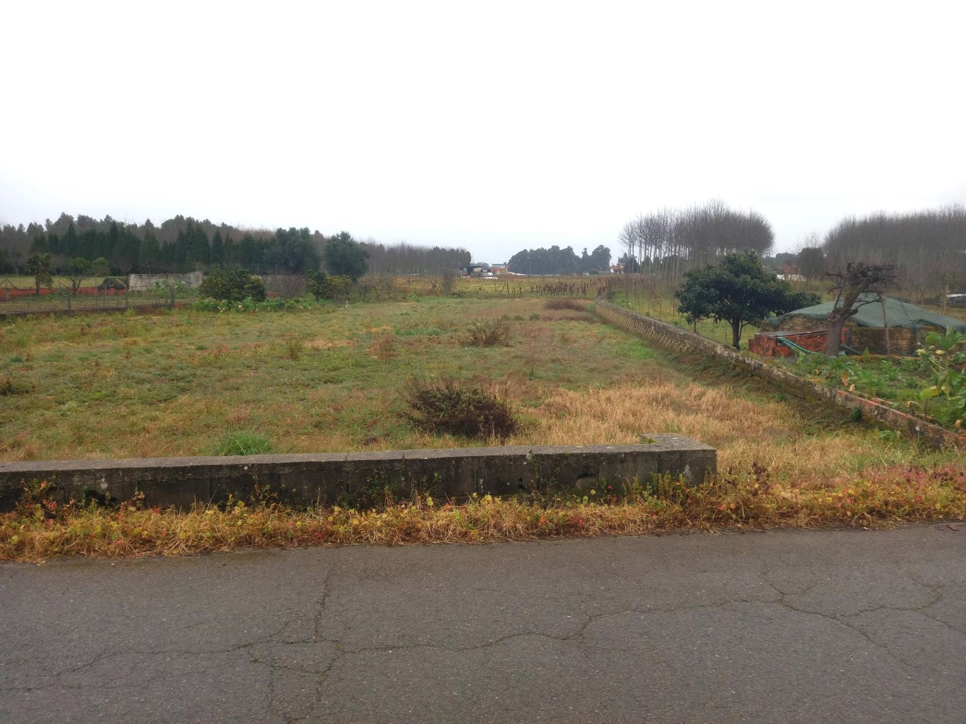 Terreno para Construção