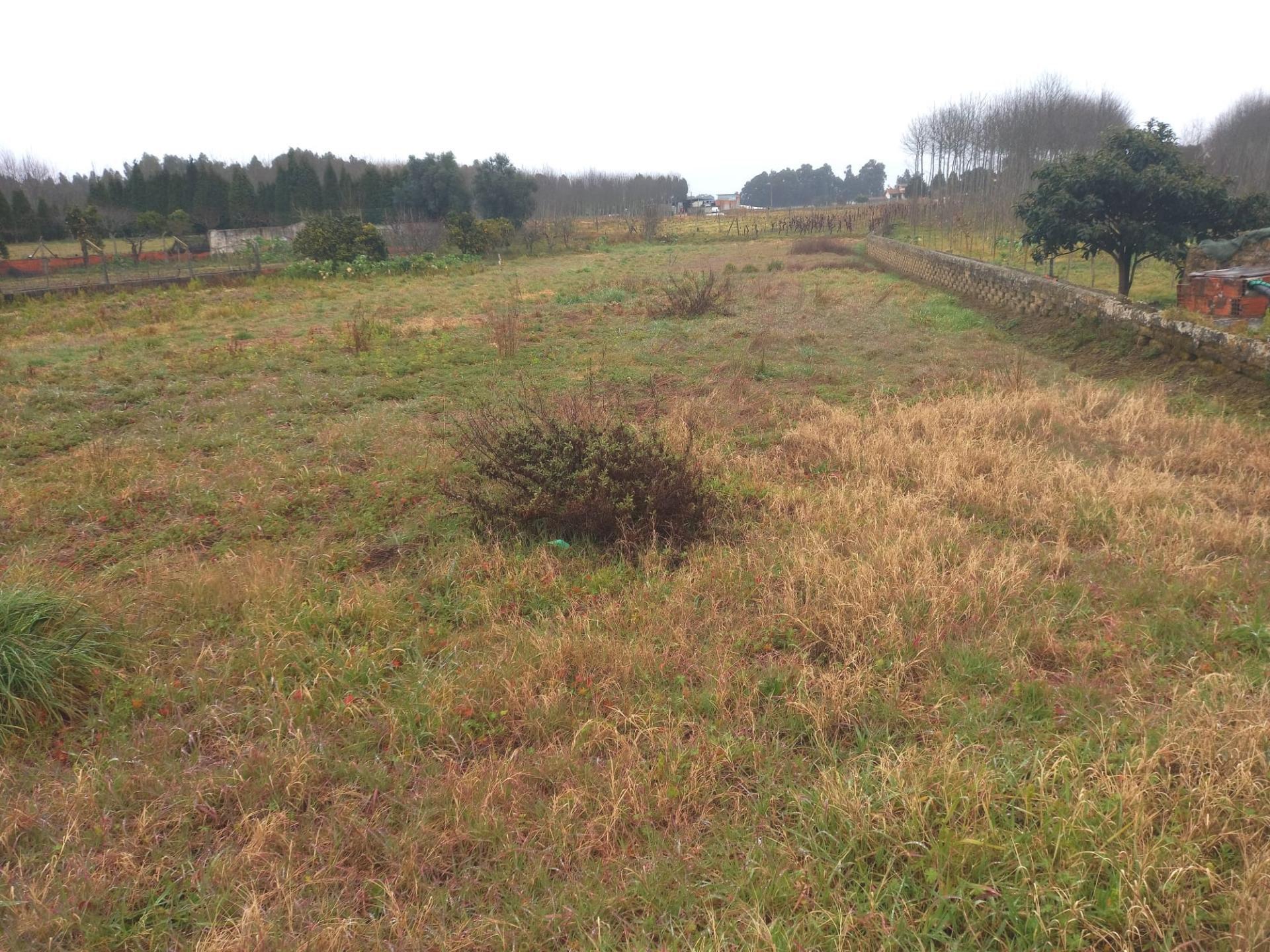 Terreno para Construção
