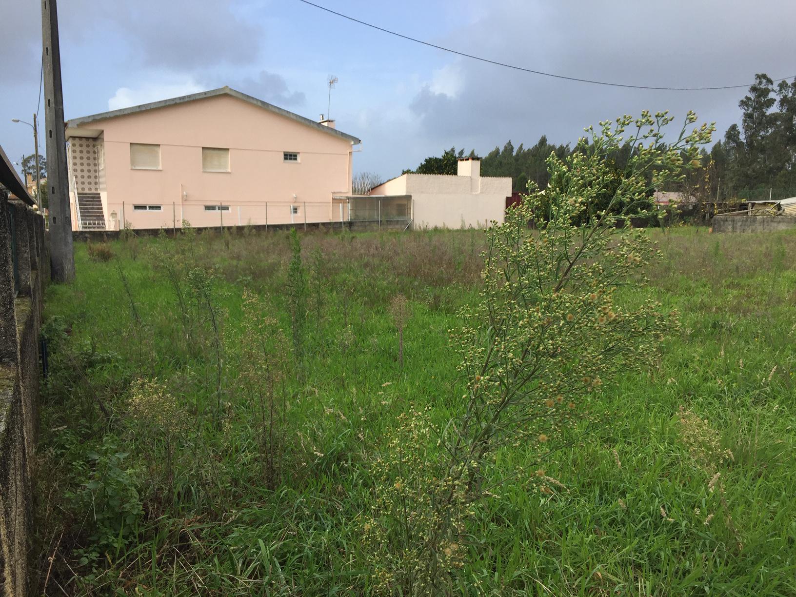 Terreno para construção