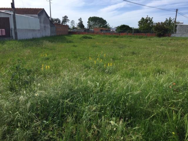Terreno para Construção