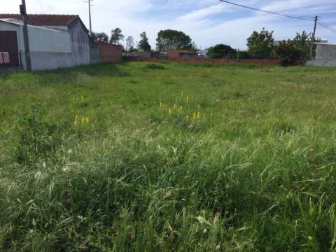 Terreno para Construção