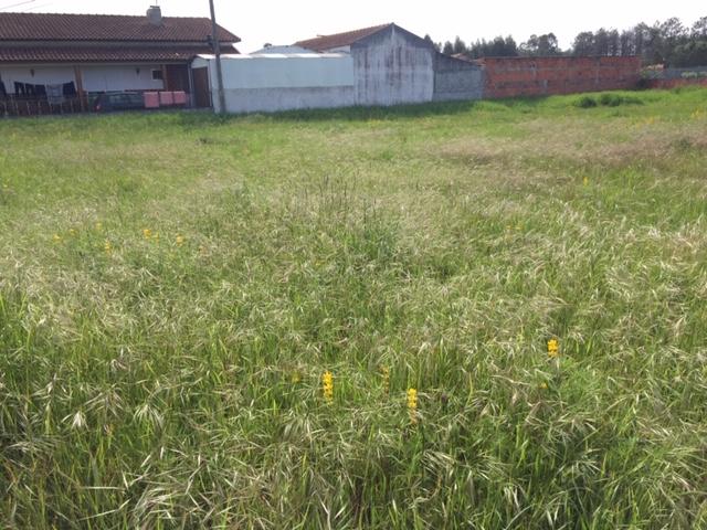 Terreno para Construção