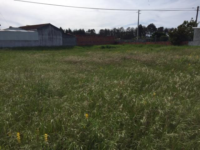 Terreno para Construção
