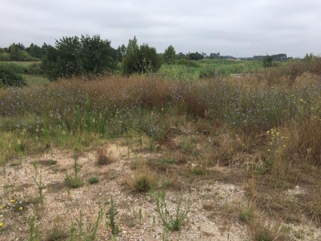 Terreno para Construção de moradia