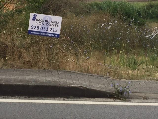 Terreno para Construção de moradia
