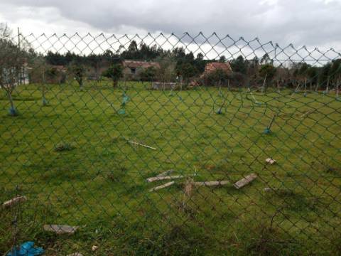 Terreno para Lotear