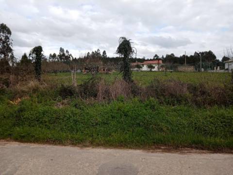 Terreno para Lotear