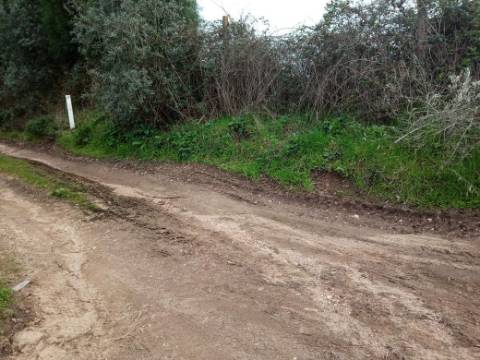 Terreno para Lotear
