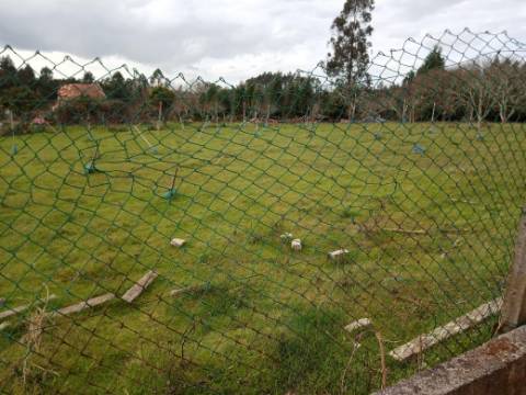 Terreno para Lotear