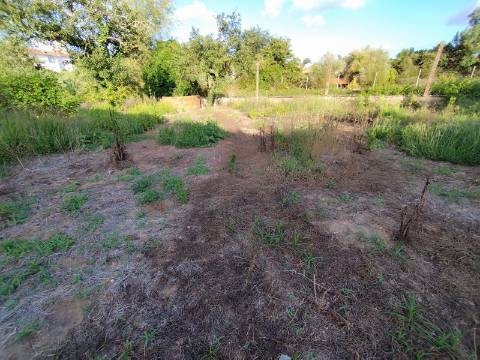 Terreno para construção, com casa em Ruinas - a 5 Km de Anadia