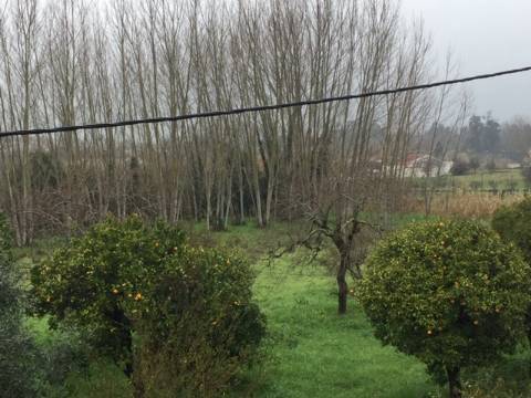 Quinta Rural