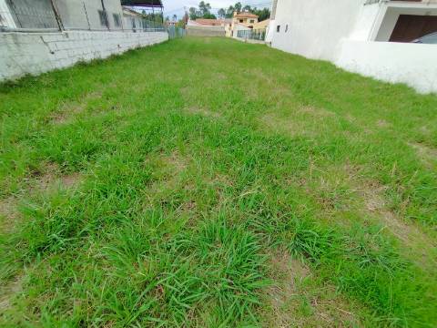 Terreno urbano para construção - Anadia