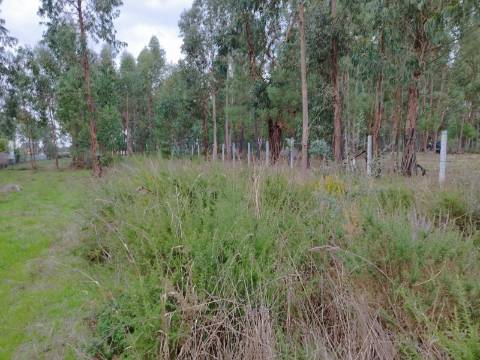 Terreno para construção a 4 Km do Centro de Anadia