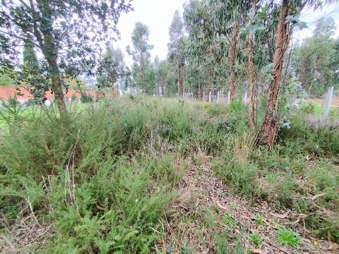Terreno para construção a 4 Km do Centro de Anadia