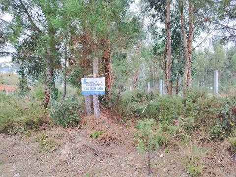Terreno para construção a 4 Km do Centro de Anadia