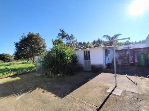 Moradia T4, Garagem e Quintal, Oliveira do Bairro