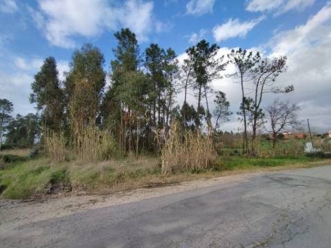 Terreno - 5.300m² - construção - povoado a Eucaliptos, em BUSTOS
