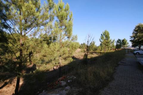 Terreno para construção de moradia de 2 pisos, na Chainça - Abrantes