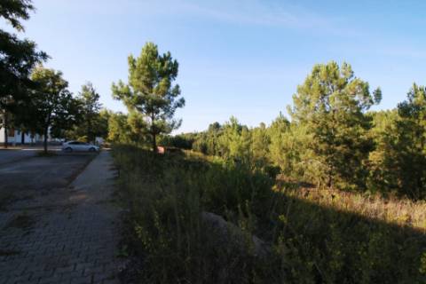 4 Terrenos para construção de moradias de 2 pisos, na Chainça - Abrantes