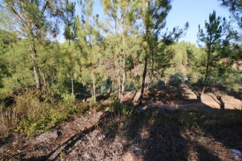 4 Terrenos para construção de moradias de 2 pisos, na Chainça - Abrantes