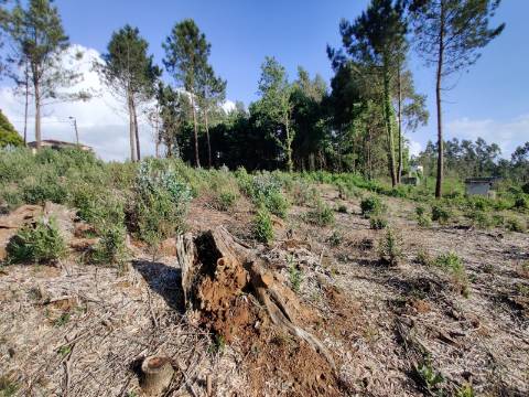 Terreno com 1.4Hec em Grijó, Vila Nova de Gaia