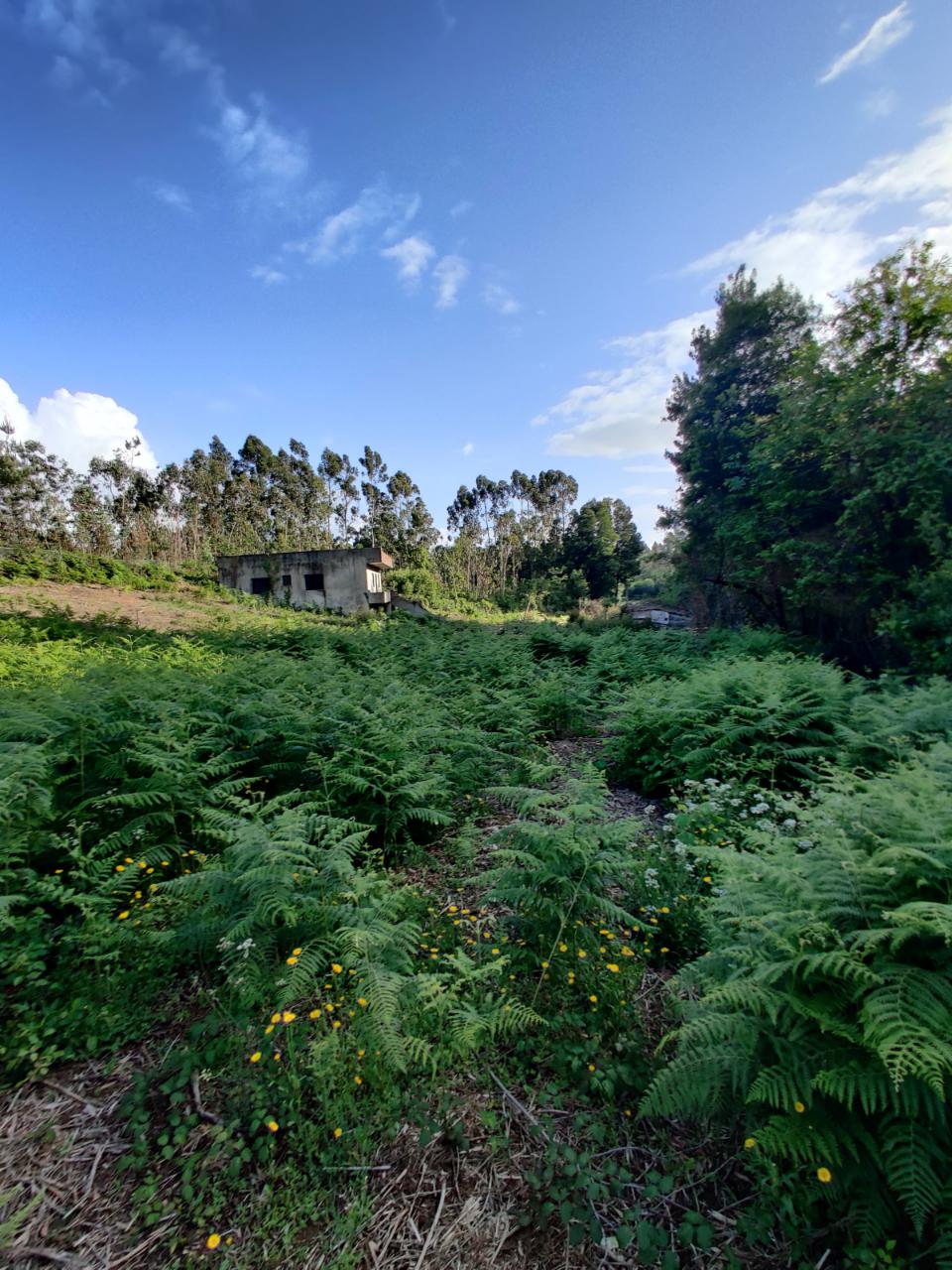 Terreno com 1.4Hec em Grijó, Vila Nova de Gaia