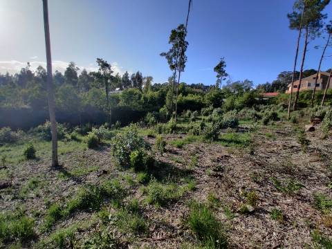Terreno com 1.4Hec em Grijó, Vila Nova de Gaia