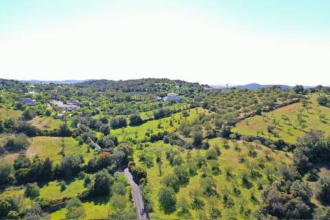 Terreno virado a sul com ruína, situado numa zona tranquila