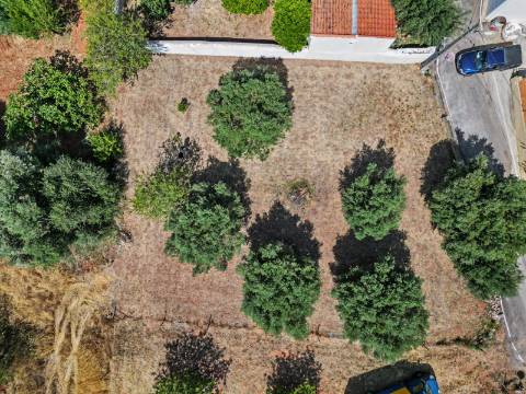 Terreno rústico em Salir - Projeto para moradia em estrutura metálica leve