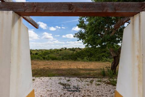 Courela da Silvestrinha: Sustentabilidade e Alta Tecnologia no Alentejo