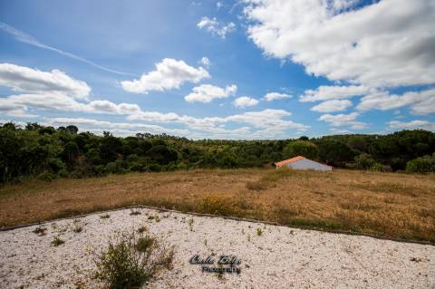 Courela da Silvestrinha: Sustentabilidade e Alta Tecnologia no Alentejo
